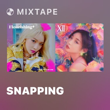 Mixtape Snapping - Various Artists