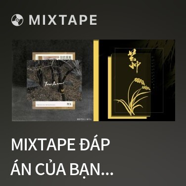 Mixtape Đáp Án Của Bạn / 你的答案 - Various Artists