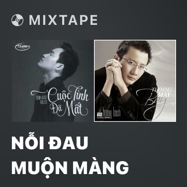 Mixtape Nỗi Đau Muộn Màng - Various Artists