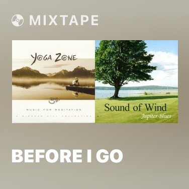 Mixtape Before I Go - Various Artists