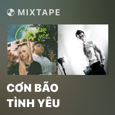 Mixtape Cơn Bão Tình Yêu - Various Artists