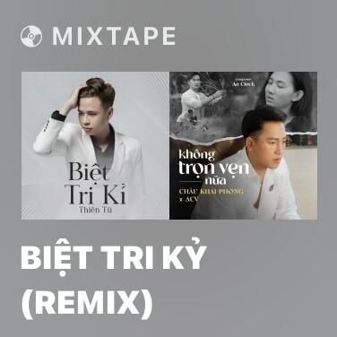 Mixtape Biệt Tri Kỷ (Remix) - Various Artists