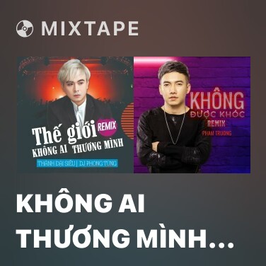 Mixtape Không Ai Thương Mình (Remix) - Various Artists