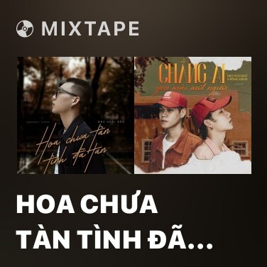 Mixtape Hoa Chưa Tàn Tình Đã Tan - Various Artists