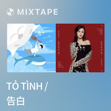 Mixtape Tỏ Tình / 告白 - Various Artists