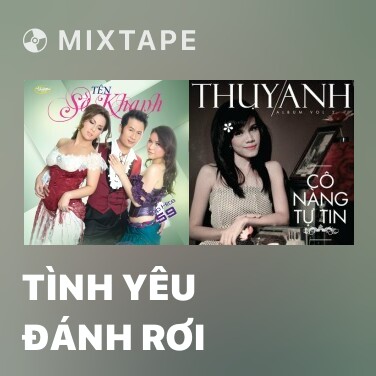 Mixtape Tình Yêu Đánh Rơi - Various Artists