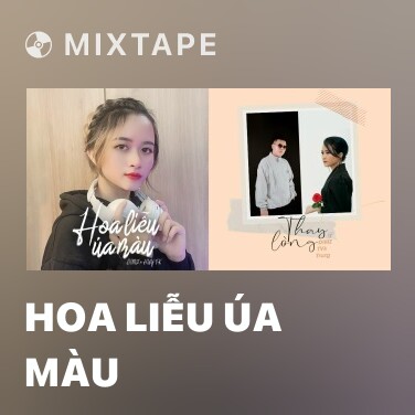 Mixtape Hoa Liễu Úa Màu - Various Artists