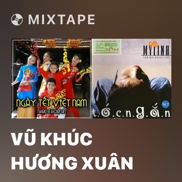 Mixtape Vũ Khúc Hương Xuân - Various Artists