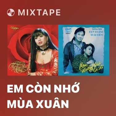 Mixtape Em Còn Nhớ Mùa Xuân - Various Artists