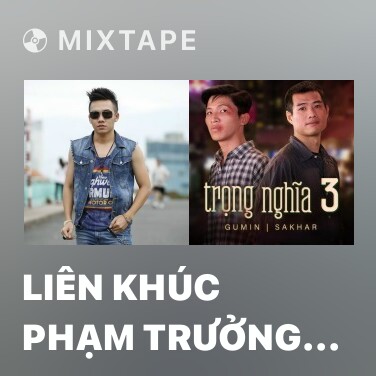 Mixtape Liên Khúc Phạm Trưởng 2010 - Various Artists