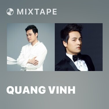Mixtape Quang Vinh - Various Artists