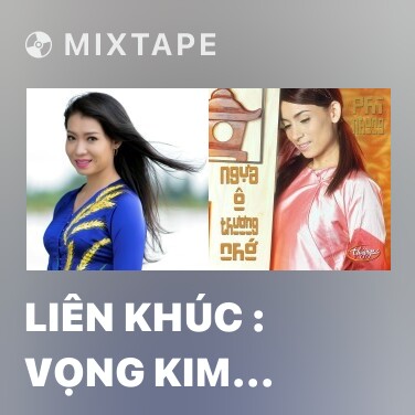 Mixtape Liên Khúc : Vọng Kim Lang & Bậu Đi Theo Người - Various Artists