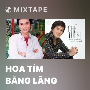 Mixtape Hoa Tím Bằng Lăng - Various Artists