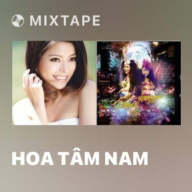 Mixtape Hoa Tâm Nam - Various Artists