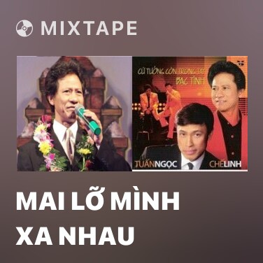 Mixtape Mai Lỡ Mình Xa Nhau - Various Artists