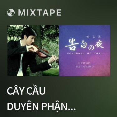 Mixtape Cây Cầu Duyên Phận / 缘分一道桥 - Various Artists