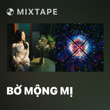Mixtape Bờ Mộng Mị - Various Artists