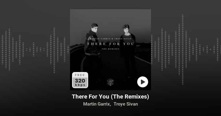 There For You (The Remixes) - Martin Garrix, Troye Sivan | Album 320  lossless - Zing MP3