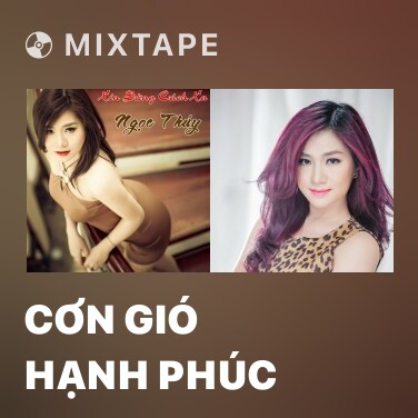 Mixtape Cơn Gió Hạnh Phúc - Various Artists