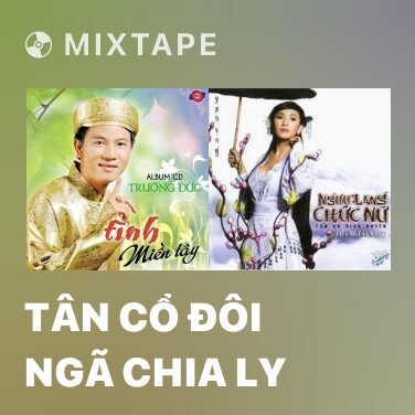 Mixtape Tân Cổ Đôi Ngã Chia Ly - Various Artists