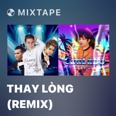 Mixtape Thay Lòng (Remix) - Various Artists