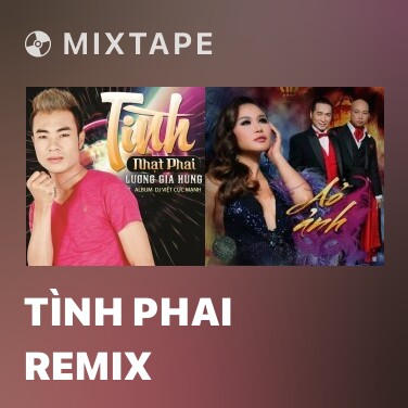 Mixtape Tình Phai Remix - Various Artists