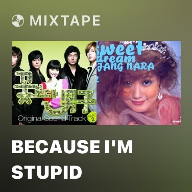 Mixtape Because I'm Stupid - Various Artists