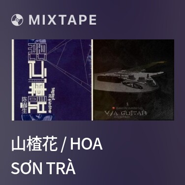 Mixtape 山楂花 / Hoa Sơn Trà - Various Artists