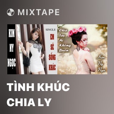 Mixtape Tình Khúc Chia Ly - Various Artists