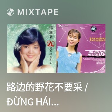 Mixtape 路边的野花不要采 / Đừng Hái Hoa Dại Ven Đường - Various Artists