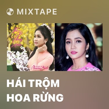 Mixtape Hái Trộm Hoa Rừng - Various Artists