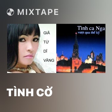 Mixtape Tình Cờ - Various Artists
