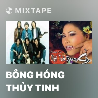 Mixtape Bông Hồng Thủy Tinh - Various Artists