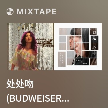Mixtape 处处吻 (Budweiser 主题歌) / Hôn Khắp Nơi - Various Artists