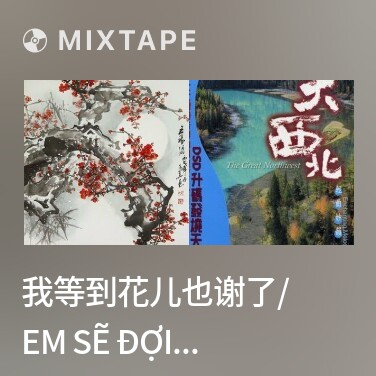 Mixtape 我等到花儿也谢了/ Em Sẽ Đợi Đến Khi Hoa Tàn. - Various Artists