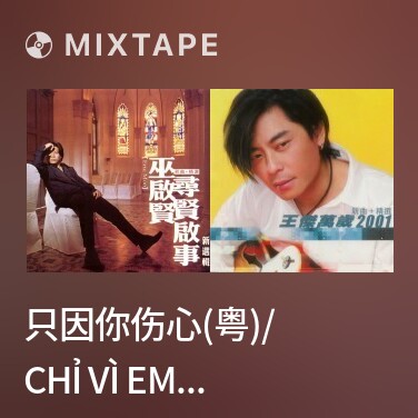 Mixtape 只因你伤心(粤)/ Chỉ Vì Em Đau Lòng (Quảng) - Various Artists