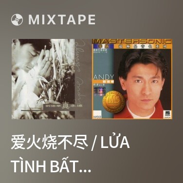 Mixtape 爱火烧不尽 / Lửa Tình Bất Tận - Various Artists