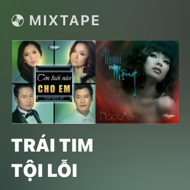 Mixtape Trái Tim Tội Lỗi - Various Artists