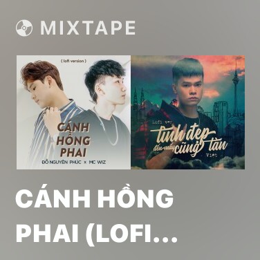 Mixtape Cánh Hồng Phai (Lofi Version) - Various Artists