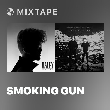 Mixtape Smoking Gun - Various Artists