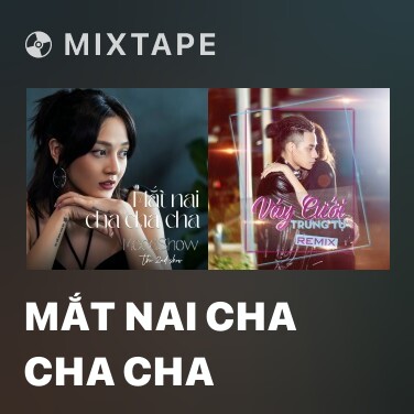 Mixtape Mắt Nai Cha Cha Cha - Various Artists
