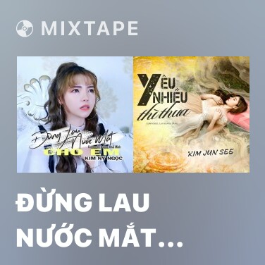 Mixtape Đừng Lau Nước Mắt Cho Em - Various Artists