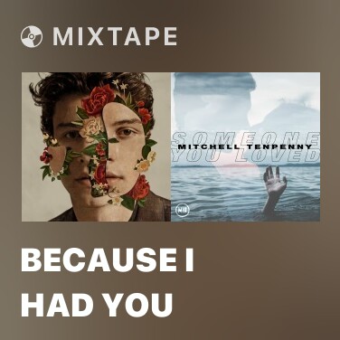 Mixtape Because I Had You - Various Artists