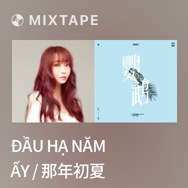 Mixtape Đầu Hạ Năm Ấy / 那年初夏 - Various Artists