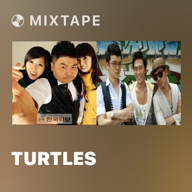 Mixtape Turtles - Various Artists