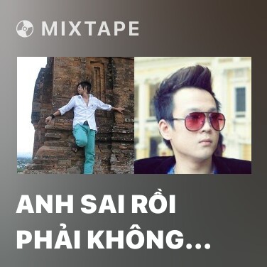 Mixtape Anh Sai Rồi Phải Không Em - Various Artists