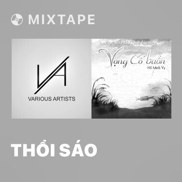 Mixtape Thổi Sáo - Various Artists