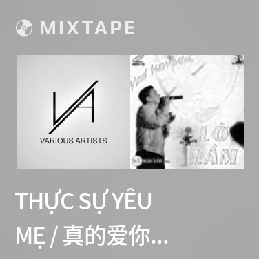 Mixtape Thực Sự Yêu Mẹ / 真的爱你 (Remix) - Various Artists