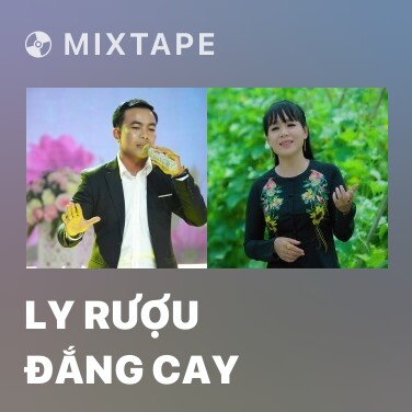 Mixtape Ly Rượu Đắng Cay - Various Artists