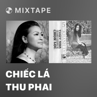 Mixtape Chiếc Lá Thu Phai - Various Artists